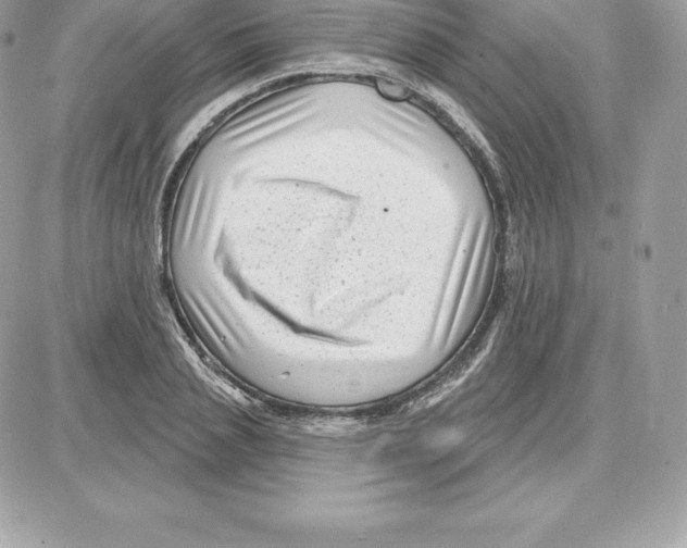 X0000087680837200706011652