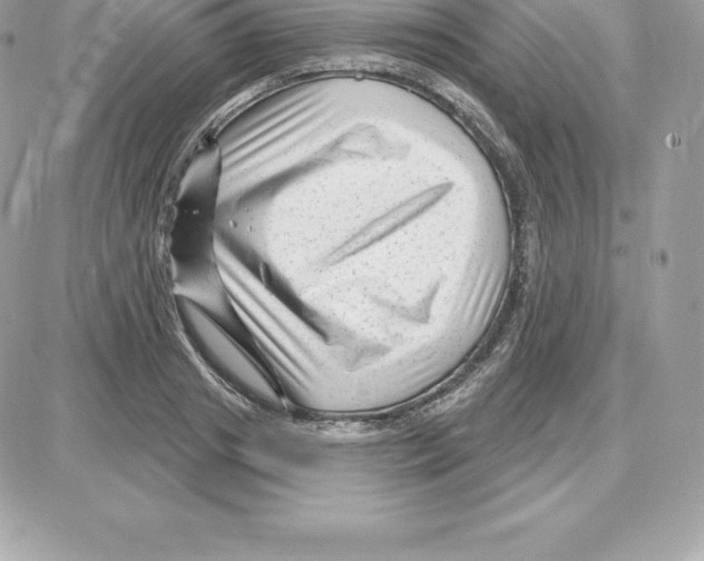 X0000087680841200706011652