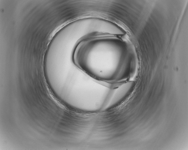 X0000087680842200706011652