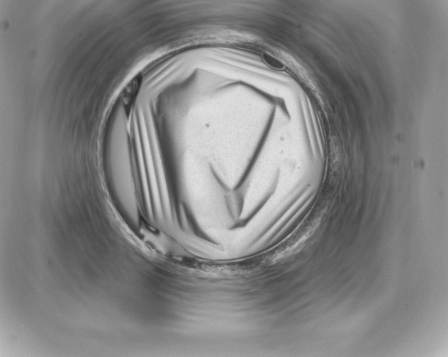 X0000087680843200706011652