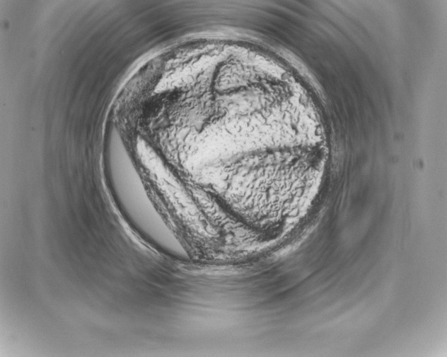 X0000087680845200706011652