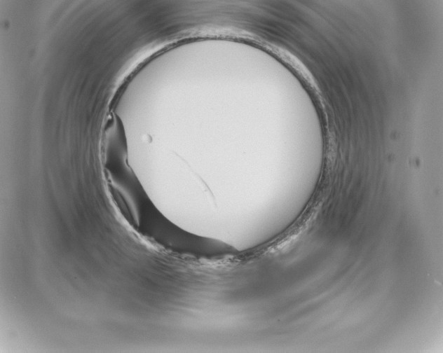 X0000087680847200706011652