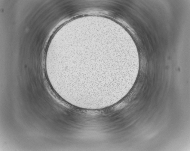 X0000087680848200706011652