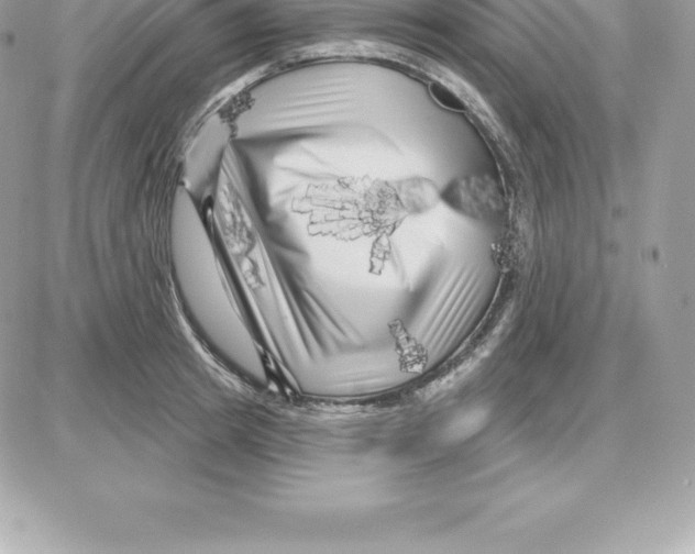 X0000087680849200706011652