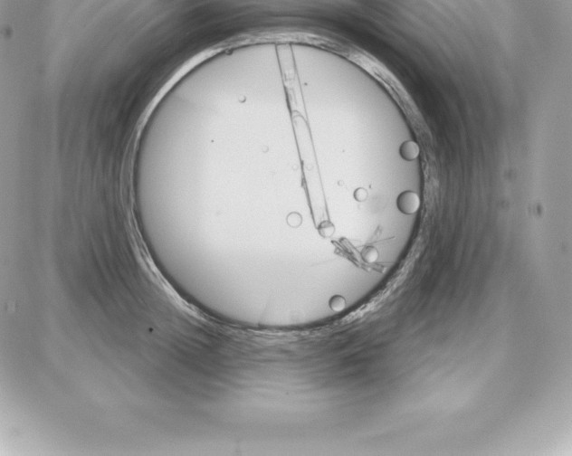 X0000087680852200706011652