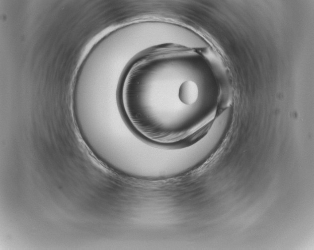 X0000087680854200706011652