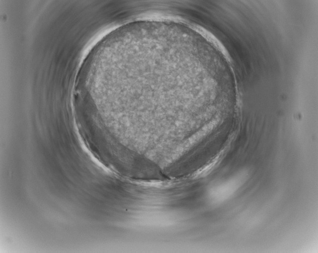 X0000087680855200706011652