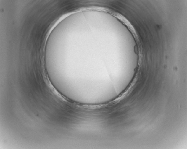 X0000087680860200706011652