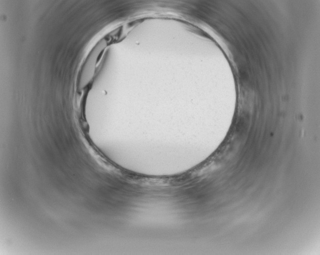 X0000087680861200706011652