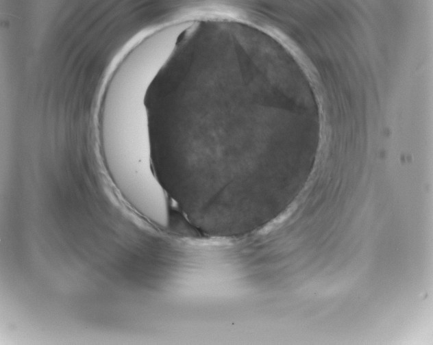 X0000087680864200706011652