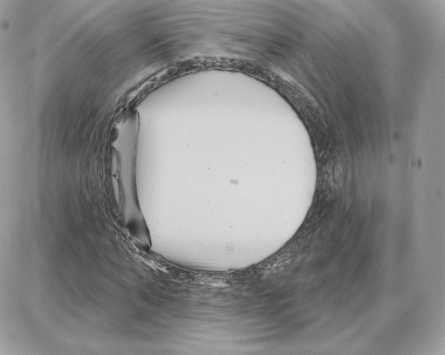 X0000087680870200706011652