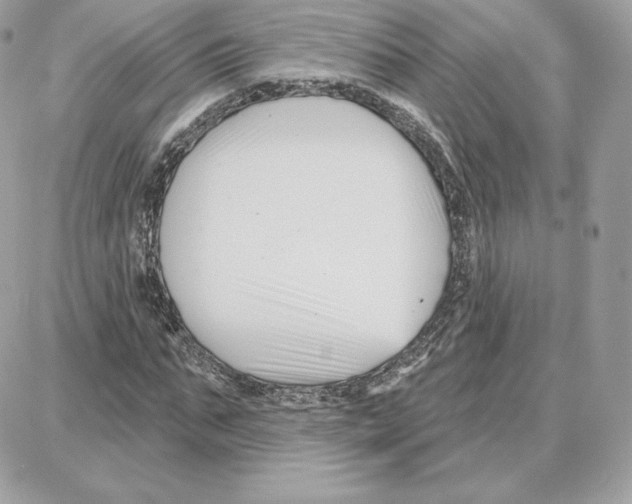 X0000087680871200706011651