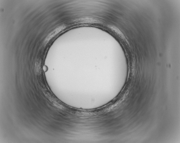 X0000087680873200706011651