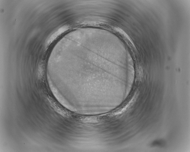 X0000087680874200706011651