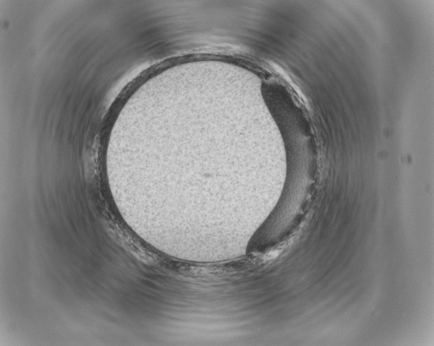 X0000087680875200706011651