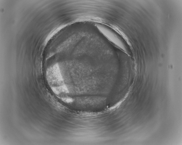 X0000087680877200706011651