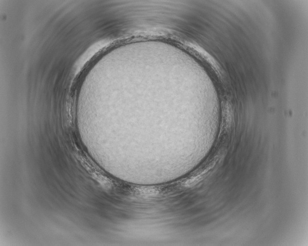 X0000087680878200706011651