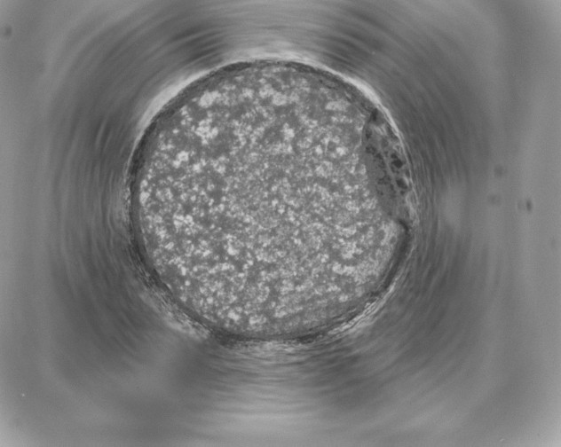 X0000087680879200706011651