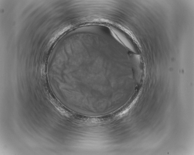 X0000087680881200706011651