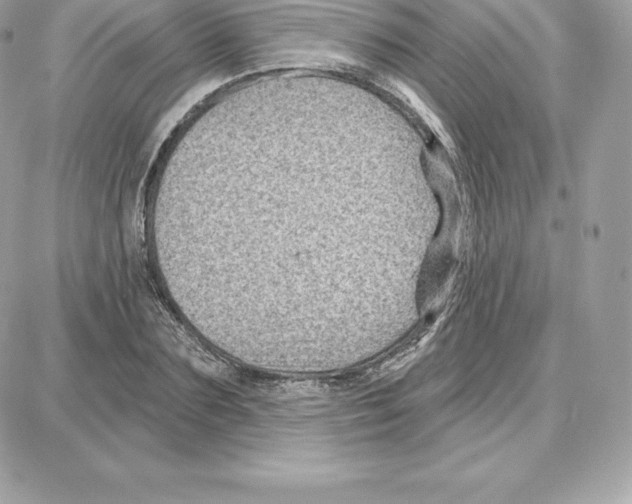 X0000087680883200706011651