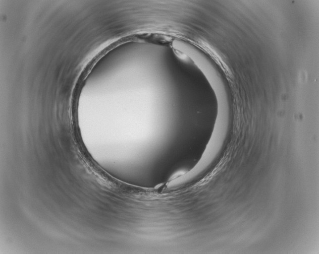 X0000087680884200706011651