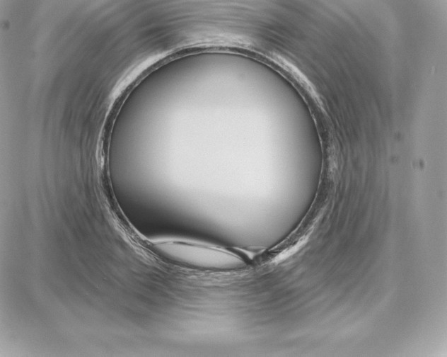 X0000087680885200706011651