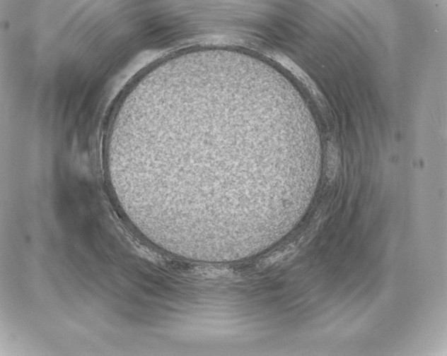 X0000087680886200706011651