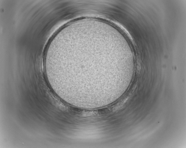 X0000087680887200706011651