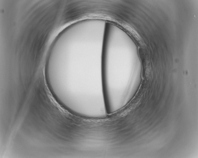 X0000087680888200706011651