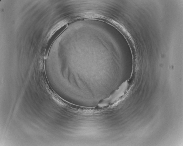 X0000087680889200706011651