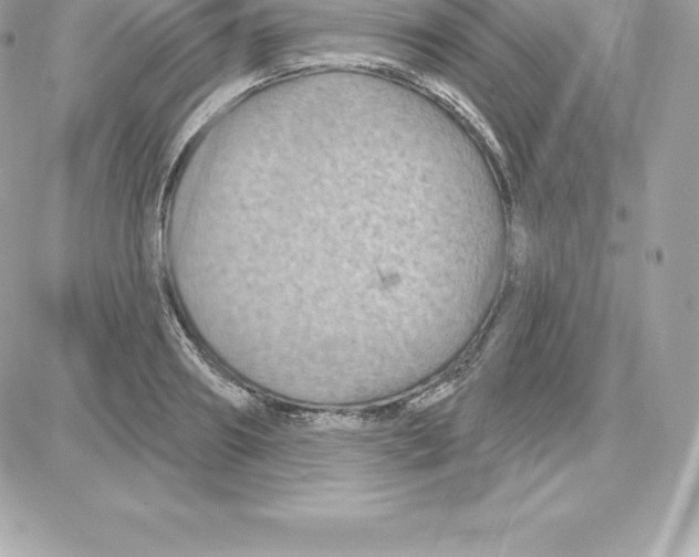 X0000087680890200706011651