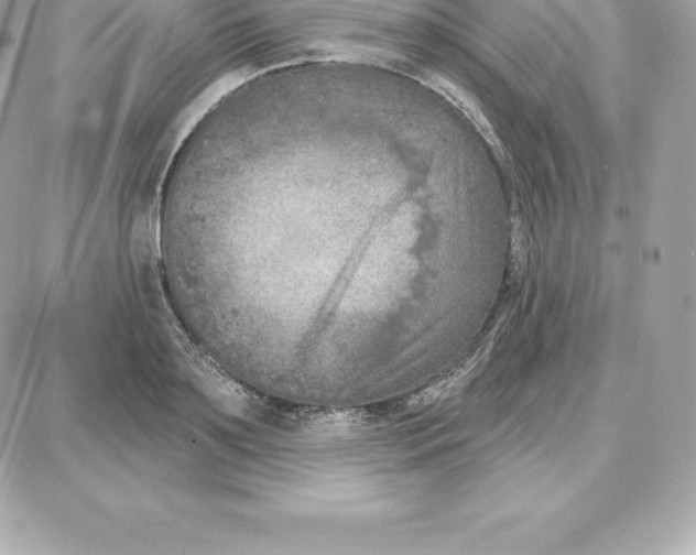 X0000087680891200706011651