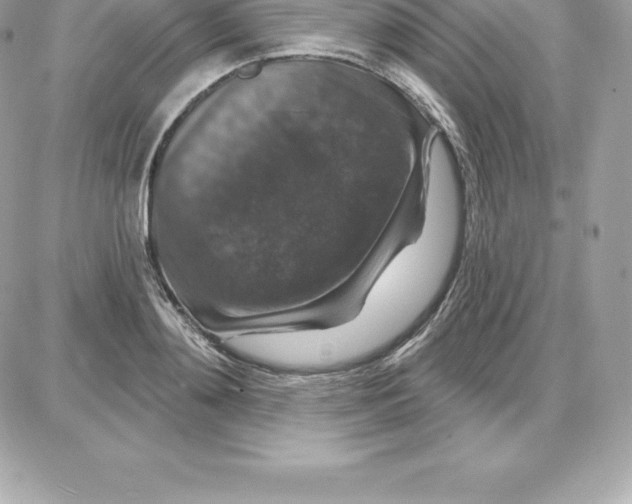 X0000087680892200706011651