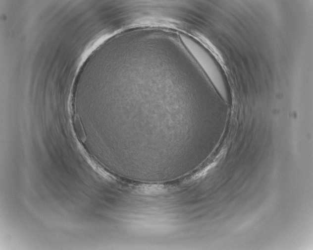 X0000087680893200706011651