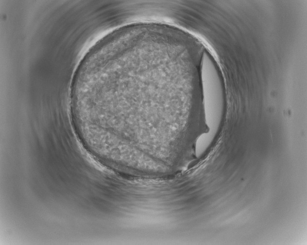 X0000087680895200706011651