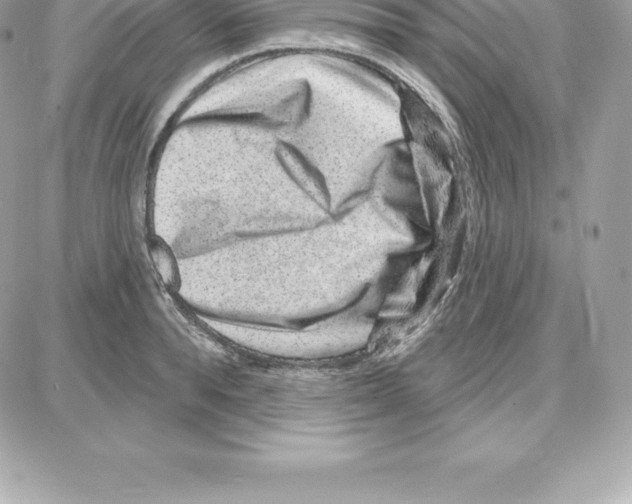 X0000087680896200706011651