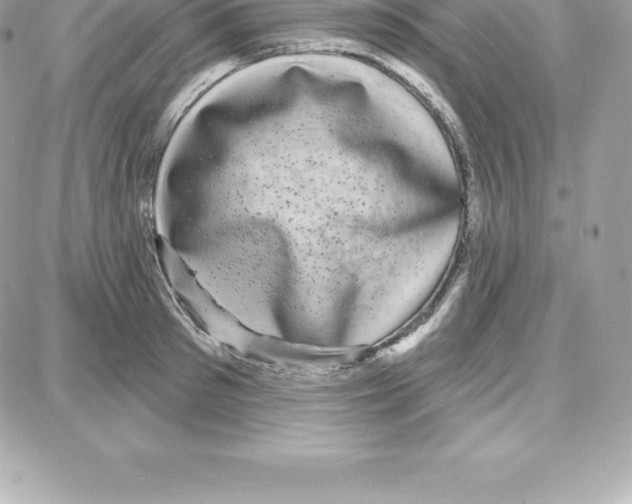 X0000087680897200706011651