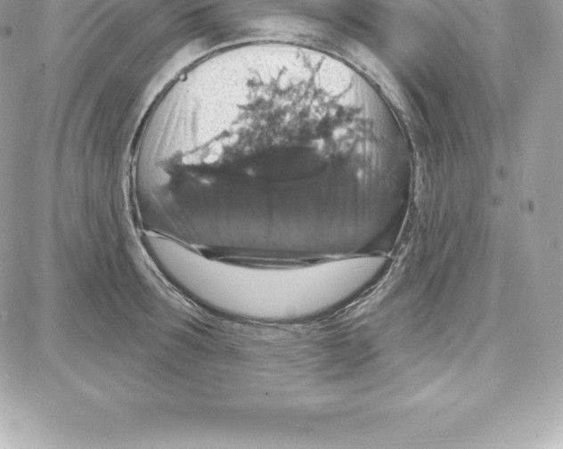 X0000087680899200706011651