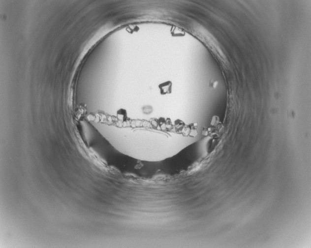 X0000087680900200706011651