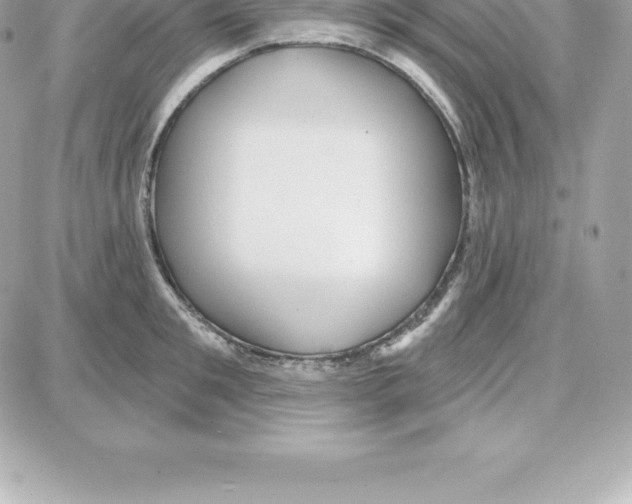 X0000087680901200706011651