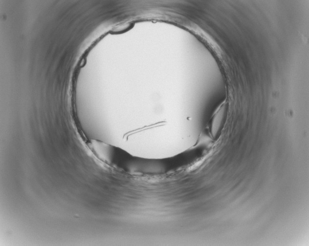 X0000087680902200706011651