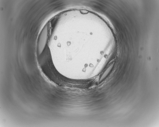 X0000087680903200706011651