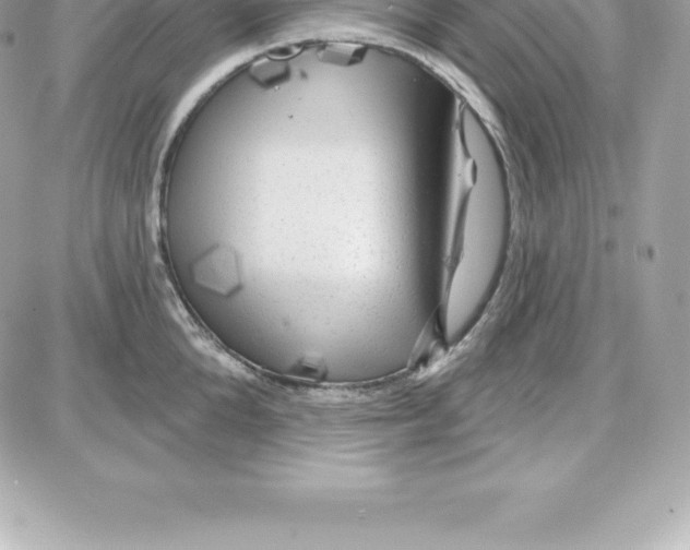 X0000087680904200706011651