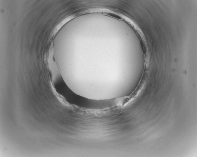 X0000087680905200706011651