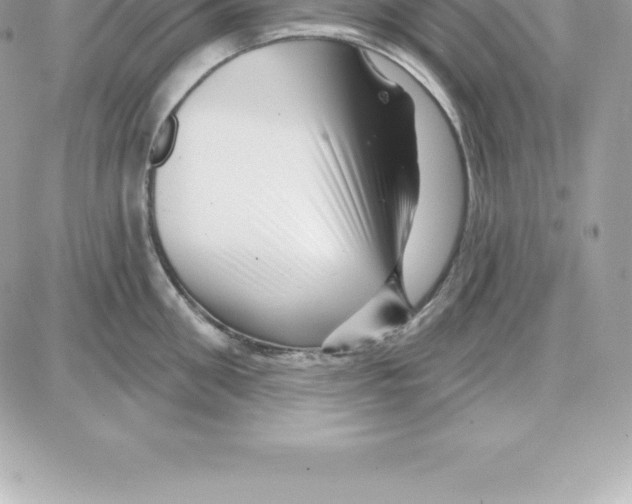 X0000087680906200706011651