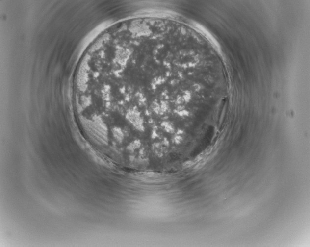 X0000087680907200706011651