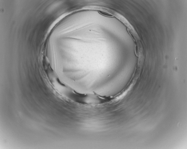 X0000087680908200706011651