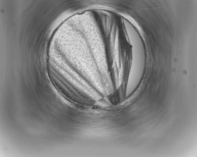 X0000087680910200706011651