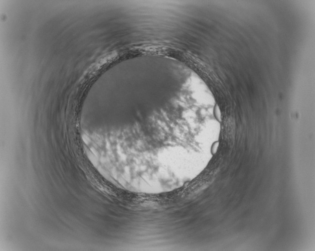 X0000087680913200706011650