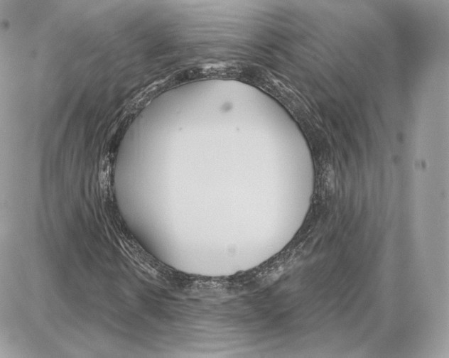 X0000087680914200706011650